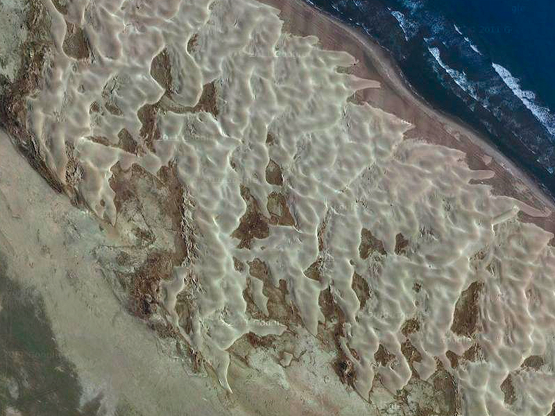 Sistemas dunares en la Punta del Fangar
