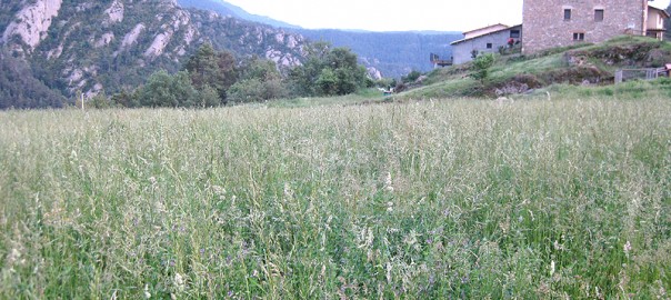 Turismo rural en Casa Vilasaló