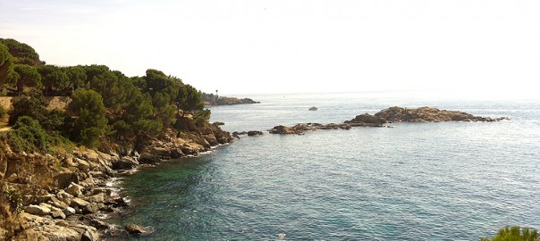 Típica imagen de rocas y pinos hasta el agua de la Costa Brava