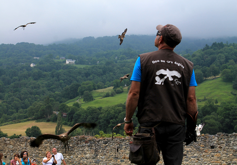 Rapaces volando en el cielo - Donjon des Aigles