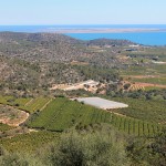 El Delta del Ebro desde el poblado
