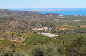 El Delta del Ebro desde el poblado