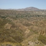 Un panorama con escasa vegetación