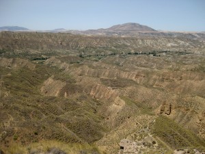 Un panorama con escasa vegetación