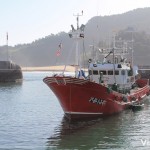 Pesquero en el puerto de Lekeitio