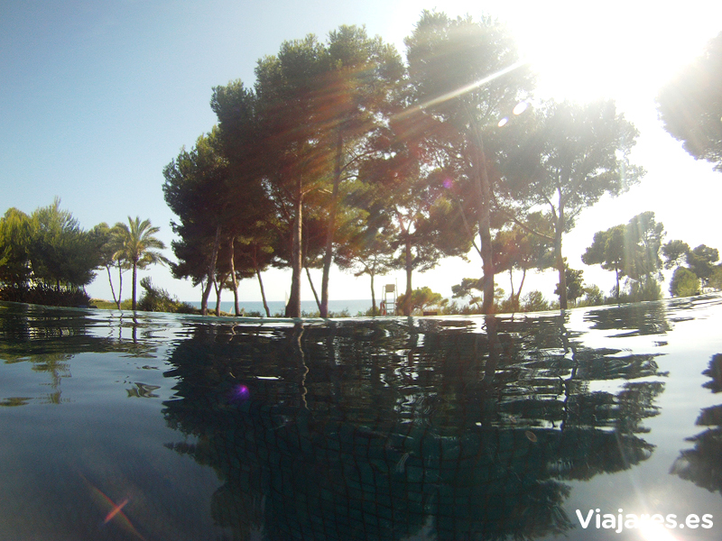 Piscinas que se funden con el horizonte entre pinos