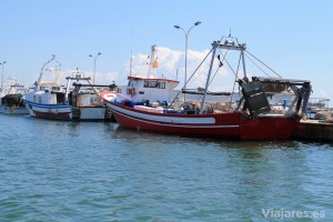 Barcos de pesca amarrados en La Ràpita