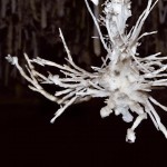 Increíbles formaciones excéntricas de la cueva El Soplao