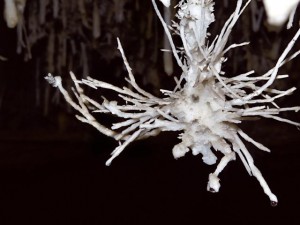 Increíbles formaciones excéntricas de la cueva El Soplao