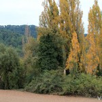 Bellprat está rodeado de campos de cultivo y bosque