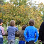 Visita con niños a la granja de Can Casellas