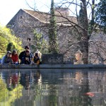 Alberca llena de peces en Laberint d'Horta