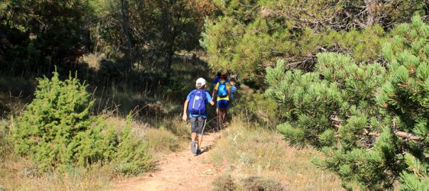 Parte del sendero a la Roca Corbatera atraviesa el bosque