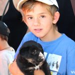 Pudimos acariciar algunos cachorros en el concurso de Prades