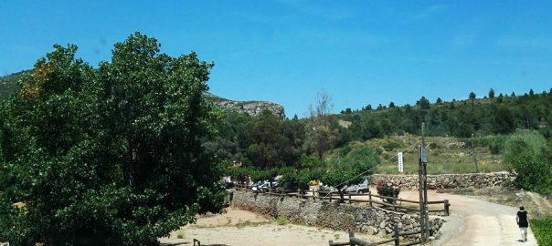 Hípica en el pueblo de la Vall de Llors Masboquera