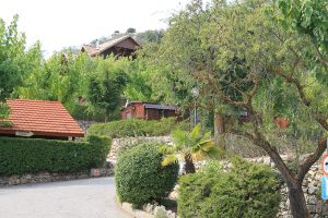 Zonas de bungalows en el camping