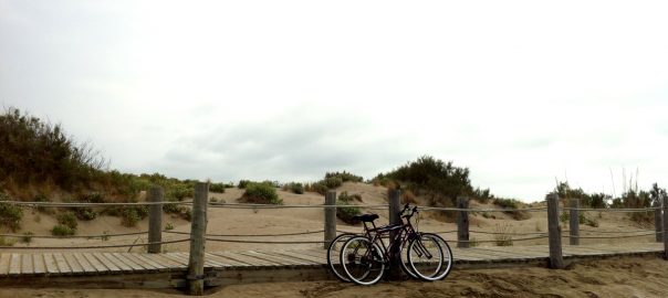 Bicicletas en el Delta del Ebro