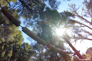 Acción y diversión en los circuitos de aventura en los árboles