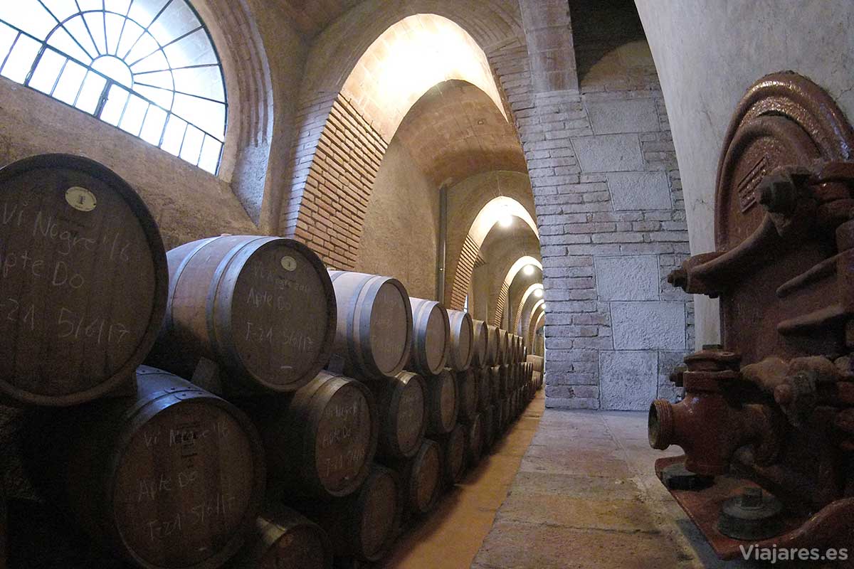 Interior de la bodega o celler