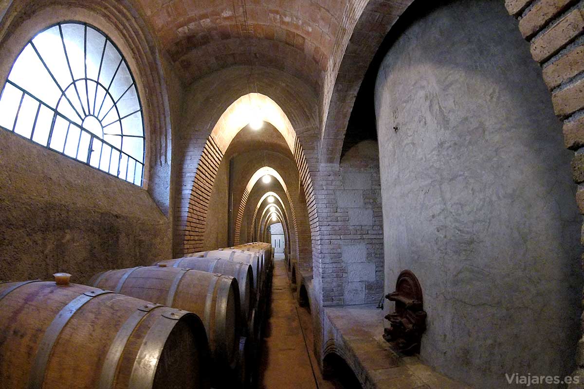 Interior de la bodega o celler