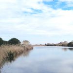 Un avión sobrevuela la reserva natural