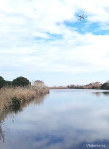 Un avión sobrevuela la reserva natural