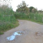 Senderos dentro de El Remolar - Filipines