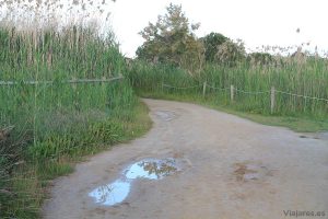 Senderos dentro de El Remolar - Filipines