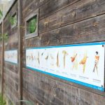 Escondite para la observación de aves