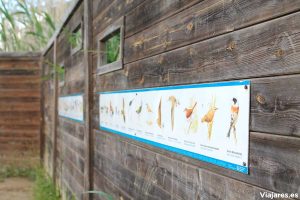 Escondite para la observación de aves