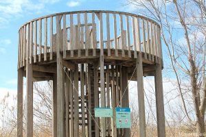 Mirador de la Vidala