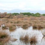 Es una zona de humedales muy importante