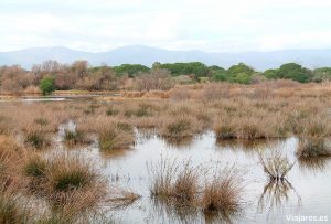 Es una zona de humedales muy importante