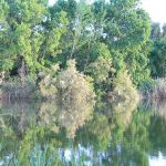 Reflejos en el agua en Remolar - Filipines