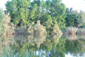 Reflejos en el agua en Remolar - Filipines