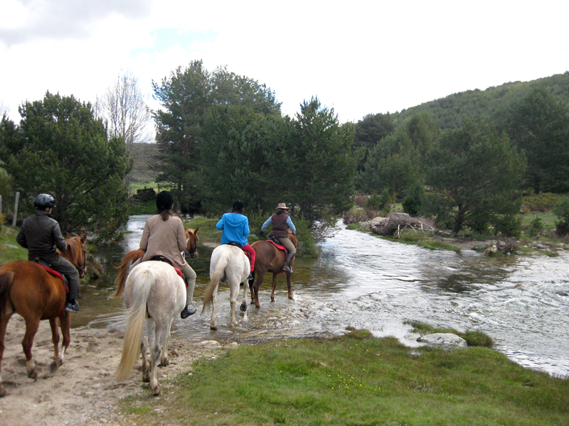 Rutas a caballo por la Sierra de Gredos